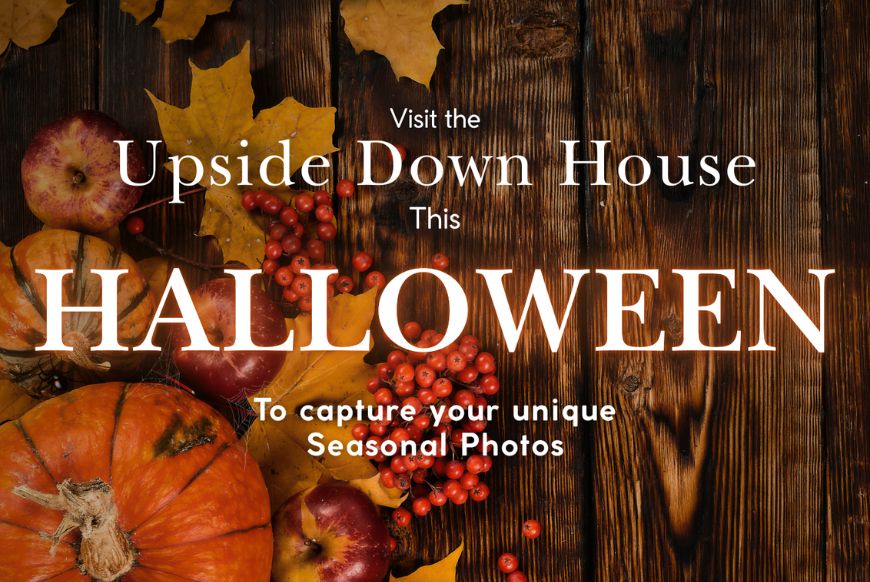 Halloween at the Upside Down House 